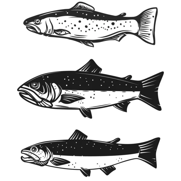 Set Trote Pesce Illustrazione Isolato Sfondo Bianco Elemento Design Poster — Foto Stock