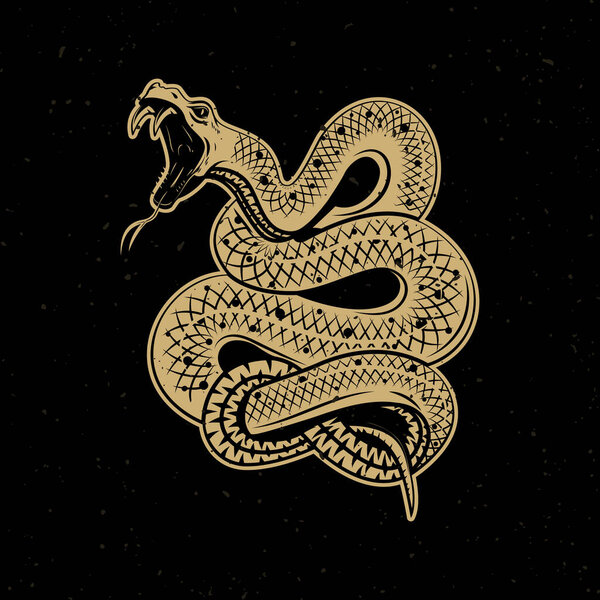 Viper snake illustration on dark background. Design element for poster, emblem, sign.