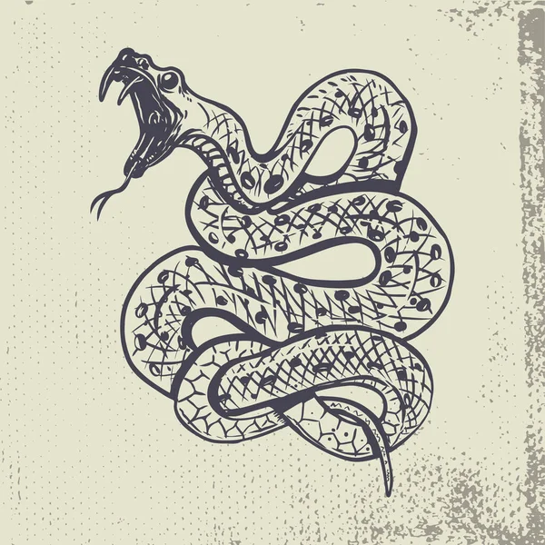 Ręcznie Rysowane Ilustracja Węża Tle Grunge Element Konstrukcyjny Plakatu Shirt — Zdjęcie stockowe