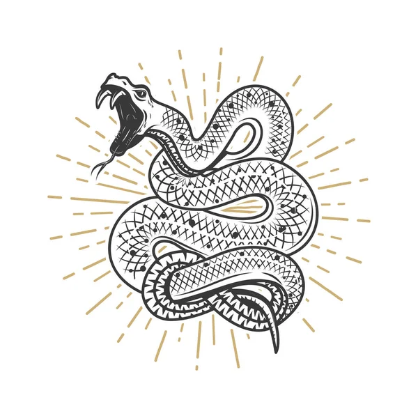 Vipera Serpente Illustrazione Sfondo Bianco Elemento Design Poster Emblema Segno — Foto Stock