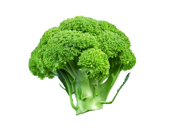 Brokkoli Gemüse Isoliert Auf Weißem Hintergrund — Stockfoto