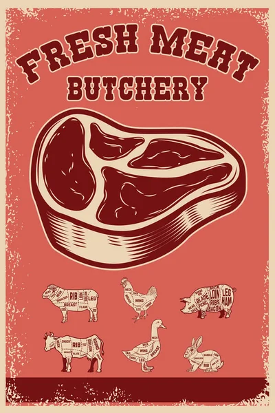 新鮮な肉だ 肉をグランジの背景にカットしたポスターテンプレート ベクターイラスト — ストックベクタ