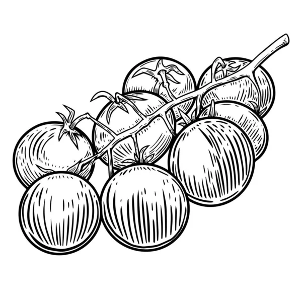 Ilustración Tomates Cherry Aislados Blanco Elemento Diseño Para Póster Tarjeta — Vector de stock