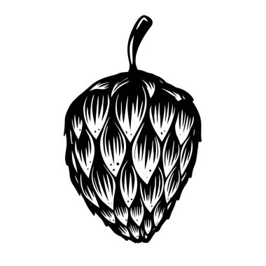 Bira ve illüstrasyon. Logo, etiket, işaret, poster, kart, afiş, el ilanı için tasarım ögesi. Vektör illüstrasyonu