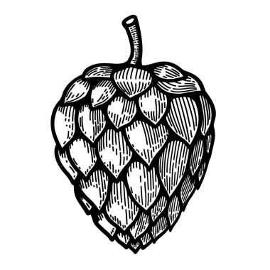 Bira ve illüstrasyon. Logo, etiket, işaret, poster, kart, afiş, el ilanı için tasarım ögesi. Vektör illüstrasyonu