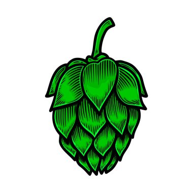 Bira ve illüstrasyon. Logo, etiket, işaret, poster, kart, afiş, el ilanı için tasarım ögesi. Vektör illüstrasyonu