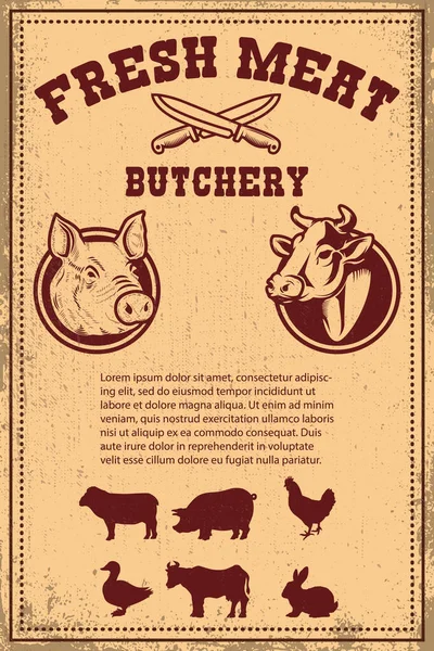 Carne Fresca Plantilla Póster Con Carne Cortada Sobre Fondo Grunge — Archivo Imágenes Vectoriales