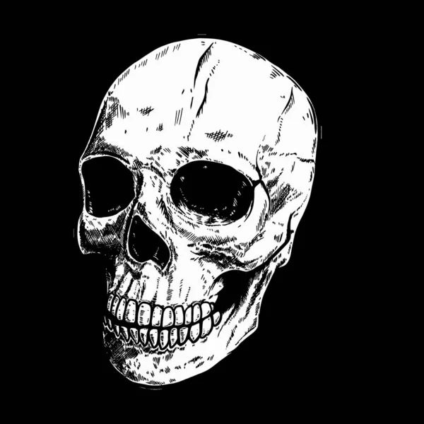 어두운 배경에 사람의 두개골을 손으로 그렸습니다 포스터 티셔츠 디자인 일러스트 — 스톡 벡터