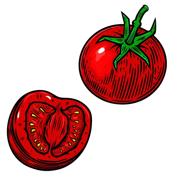 Ilustración Tomates Cherry Aislados Blanco Elemento Diseño Para Póster Tarjeta — Archivo Imágenes Vectoriales