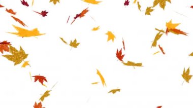 Düşen sonbahar yapraklarının animasyonu