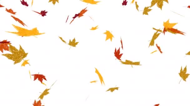 Animation Falling Autumn Leaves — Stock Video