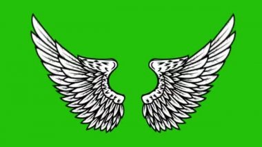 Yeşil arka planda uçan kanatların animasyonu. Melek kanatları animasyonu. 