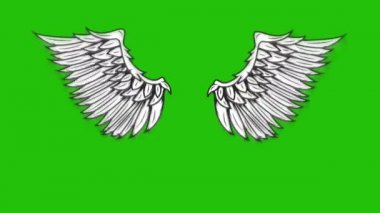 Yeşil arka planda uçan kanatların animasyonu. Melek kanatları animasyonu. 