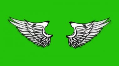 Yeşil arka planda uçan kanatların animasyonu. Melek kanatları animasyonu. 