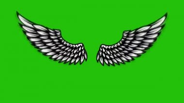 Yeşil arka planda uçan kanatların animasyonu. Melek kanatları animasyonu. 