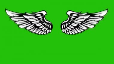 Yeşil arka planda uçan kanatların animasyonu. Melek kanatları animasyonu. 
