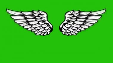Yeşil arka planda uçan kanatların animasyonu. Melek kanatları animasyonu. 