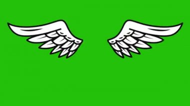 Yeşil arka planda uçan kanatların animasyonu. Melek kanatları animasyonu. 