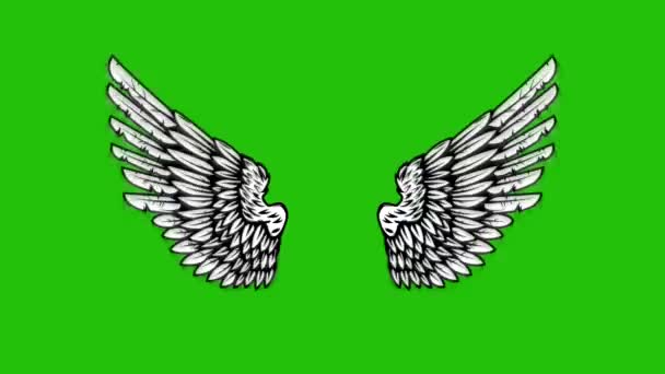 Animation Flying Wings Green Background Angel Wings Animation — Stock Video