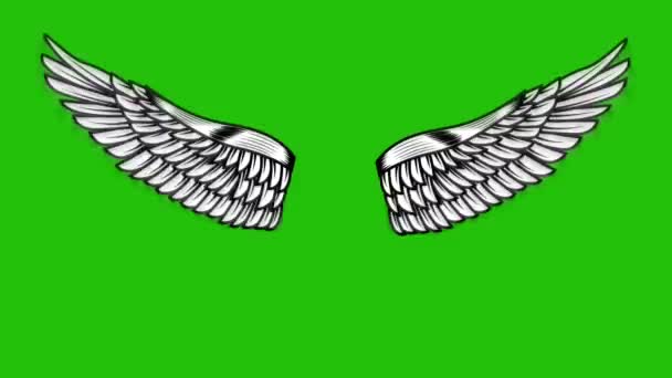 Yeşil Arka Planda Uçan Kanatların Animasyonu Melek Kanatları Animasyonu — Stok video