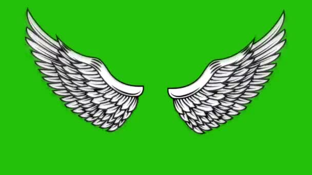 在绿色背景上的飞行翅膀动画 天使翼动画 — 图库视频影像