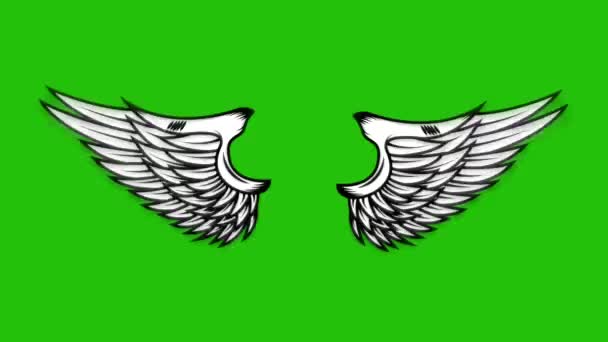 Animação Asas Voadoras Fundo Verde Anjo Asas Animação — Vídeo de Stock