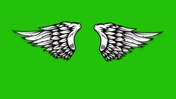 Animation Fliegender Flügel Auf Grünem Hintergrund Animation Mit Engelsflügeln — Stockvideo
