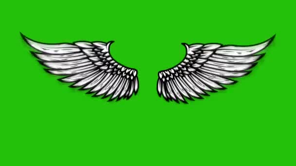 Animación Alas Voladoras Sobre Fondo Verde Ángel Alas Animación — Vídeo de stock