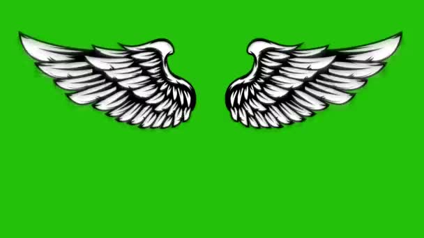 Animation Des Ailes Volantes Sur Fond Vert Ange Ailes Animation — Video