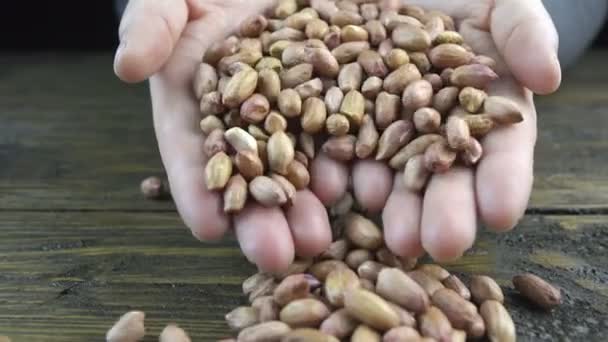 Women Hands Raw Peanuts — Stock Video