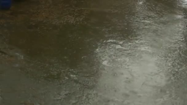 Arroyos Lluvia Pavimento — Vídeo de stock