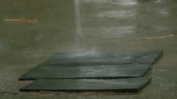 Arroyos Lluvia Pavimento — Vídeos de Stock