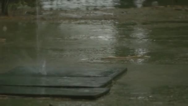 舗装上の雨の流れ — ストック動画