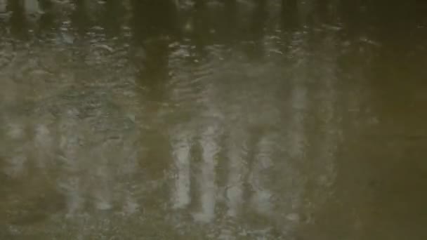 Regengüsse Auf Dem Bürgersteig — Stockvideo