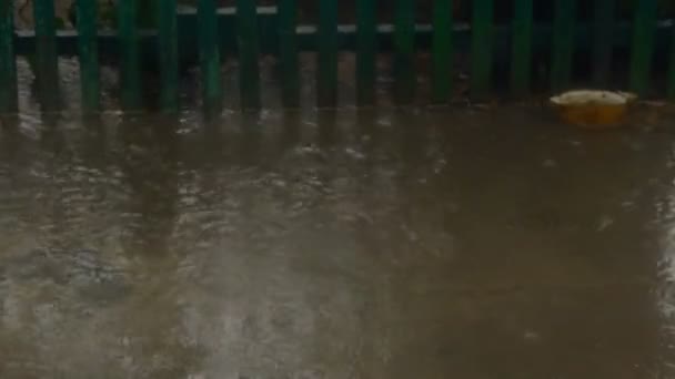 Потоки Дощу Тротуарі — стокове відео