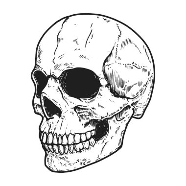 Işık arkaplanına insan kafatası çizilmiş. Logo, etiket, işaret, iğne, poster, tişört için tasarım elemanı. Vektör illüstrasyonu