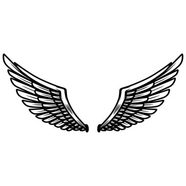 Hafif arka planda kartal kanatları. Poster, tişört, kart ve afiş için tasarım elemanı. Vektör illüstrasyonu