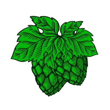 Elle çizilmiş bira ve resimleme. Poster, amblem, işaret, logo, etiket tasarımı. Vektör illüstrasyonu