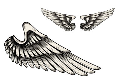 Beyaz arka planda izole edilmiş dövme tarzında kanat çizimi. Logo, etiket, rozet ve imza için tasarım elemanı. Vektör illüstrasyonu
