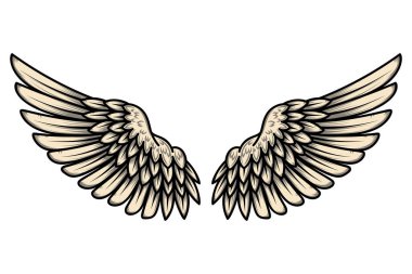 Beyaz arka planda izole edilmiş dövme tarzında kanat çizimi. Logo, etiket, rozet ve imza için tasarım elemanı. Vektör illüstrasyonu