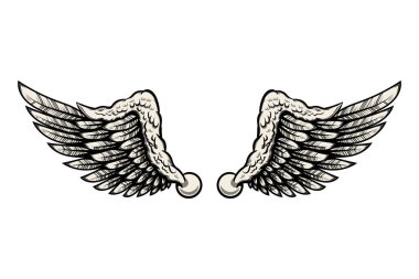 Beyaz arka planda izole edilmiş dövme tarzında kanat çizimi. Logo, etiket, rozet ve imza için tasarım elemanı. Vektör illüstrasyonu