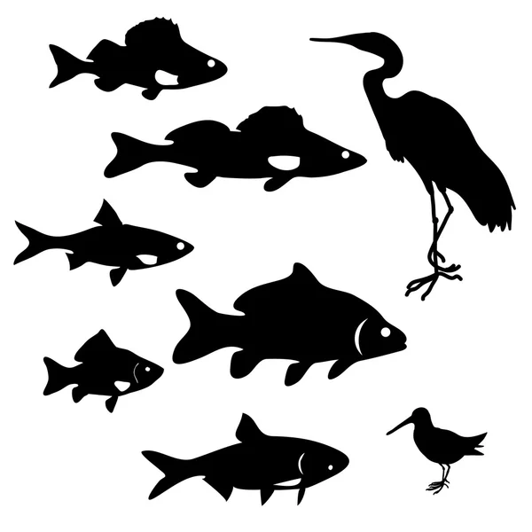 Silhouettes of river fish — Stock Vector