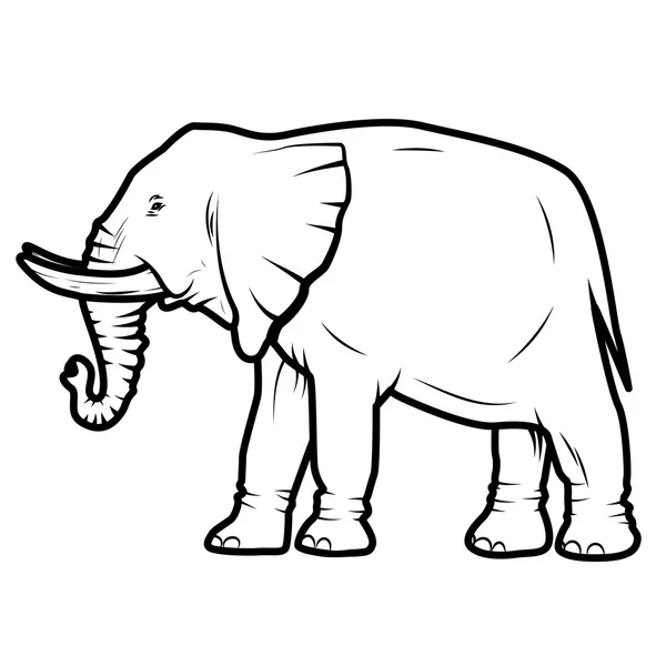 Elefante — Vettoriale Stock
