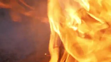 Ormanda yanan kamp ateşi.