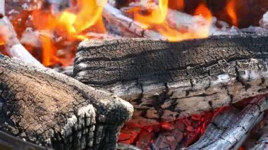 Ormanda yanan kamp ateşi.