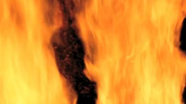 Yanan Ateş. Büyük ateş geceleri duman ve kıvılcımlarla yanıyor..