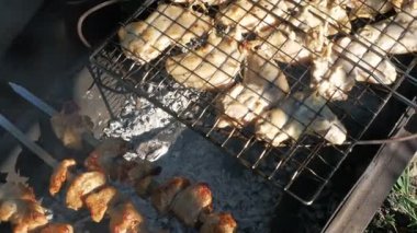 Kömürde pişmiş et. Piknik teması