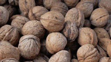 İnsan eli kutuya ceviz koyar.