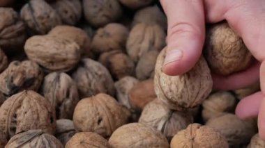 İnsan eli kutuya ceviz koyar.