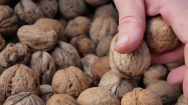 İnsan eli kutuya ceviz koyar.